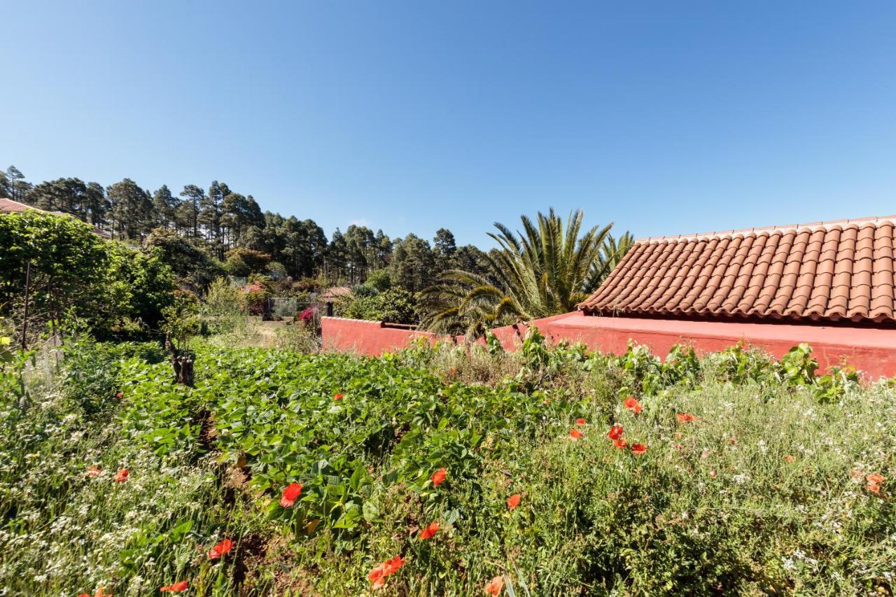 Casa Buganvillas, Reformado Puntagorda Екстериор снимка
